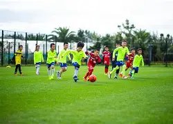 独家揭秘,国安传奇前,锋法比奥荣,Aiyouxi,Sports,爱游戏体育,爱游戏体育入口,爱游戏体育官网,爱游戏体育APP下载